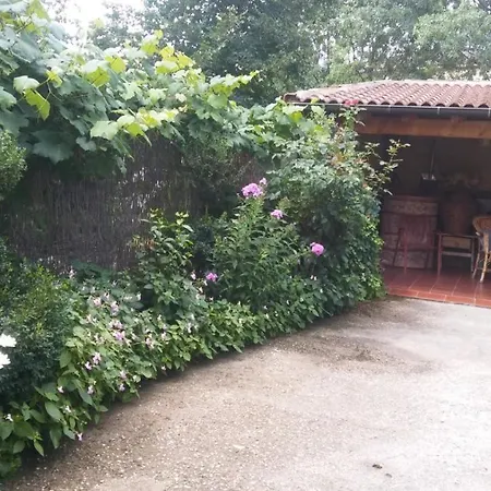 La Cucurrumacha *