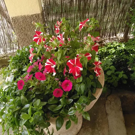 Country house La Cucurrumacha *