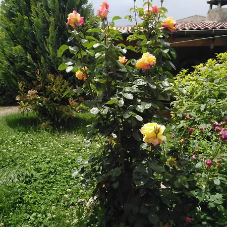 La Cucurrumacha Country house *