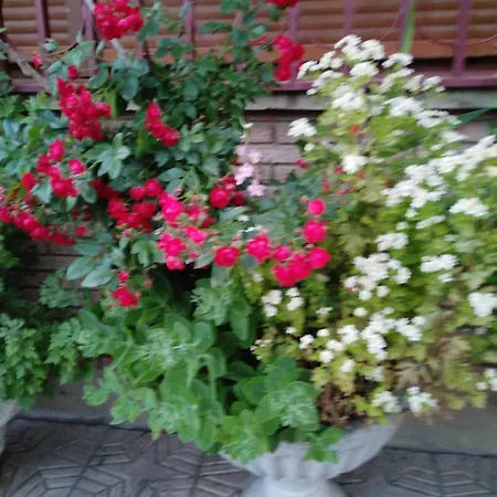 Country house La Cucurrumacha *