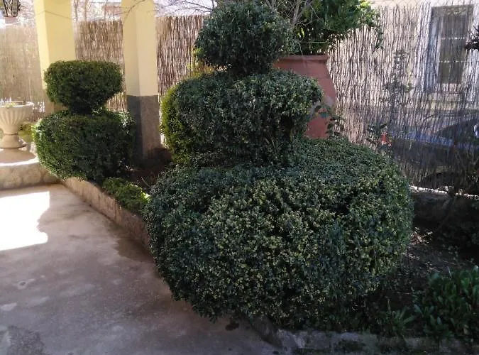 乡村民宿 La Cucurrumacha Navalosal