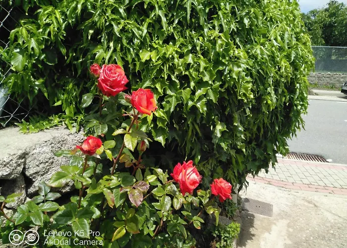 乡村民宿 La Cucurrumacha