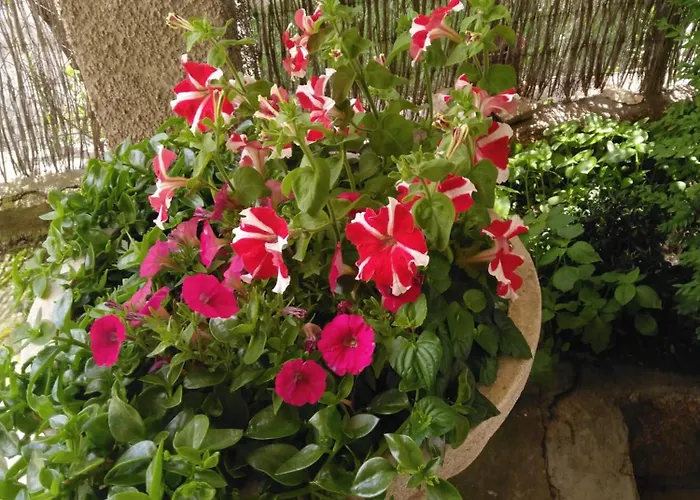 乡村民宿 La Cucurrumacha *