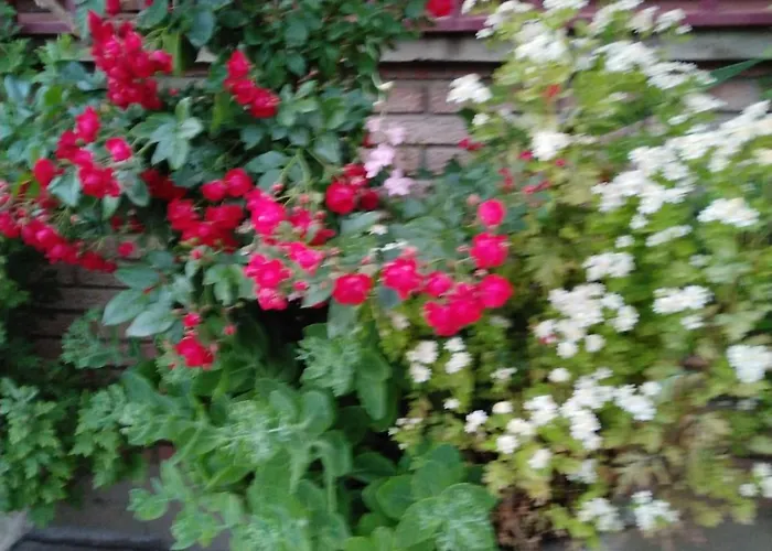 乡村民宿 La Cucurrumacha *