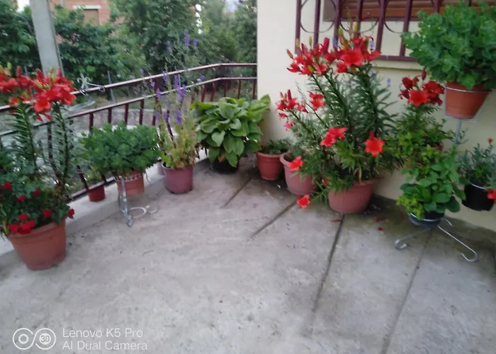 乡村民宿 La Cucurrumacha *