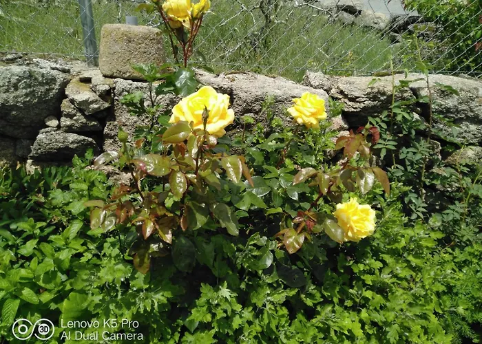 La Cucurrumacha * Navalosal