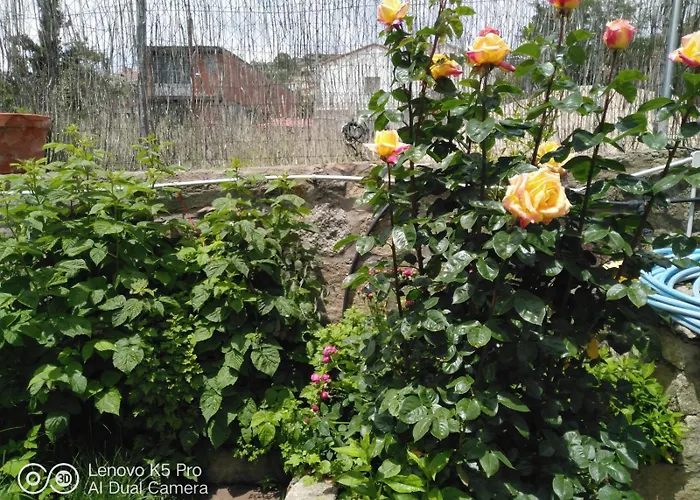 La Cucurrumacha 乡村民宿